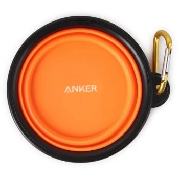 Collapsible Pet Bowl